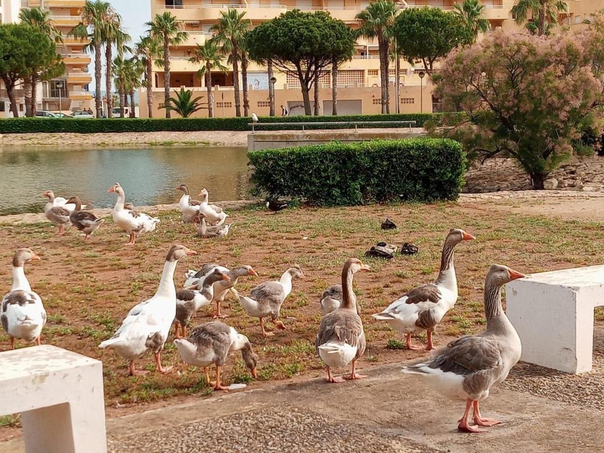 Apartamento En La Playa Tavernes de Valldigna Luaran gambar